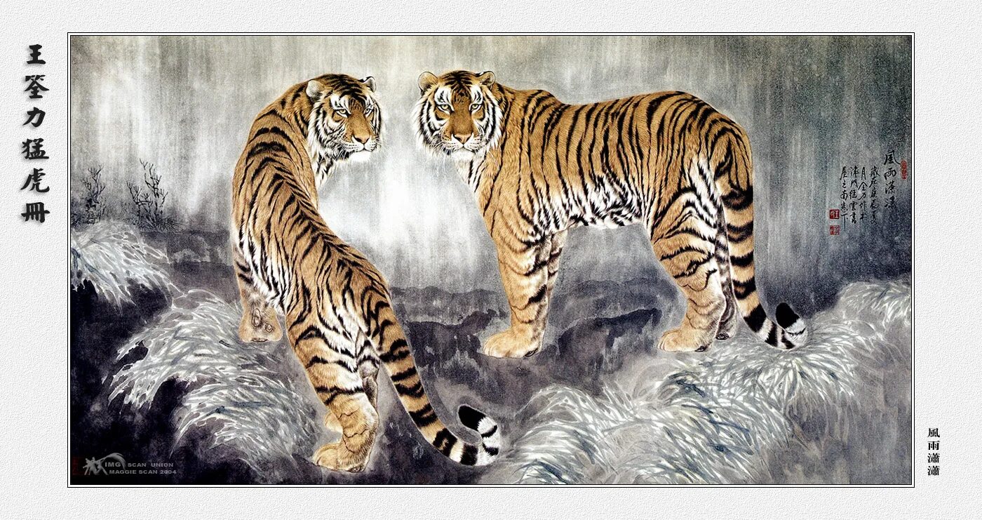 Ли тайгер. Картина два тигра. Азиатские тигры. Азиатские тигры картины. Азиат с тигром картина.