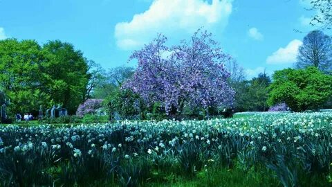 Springtime