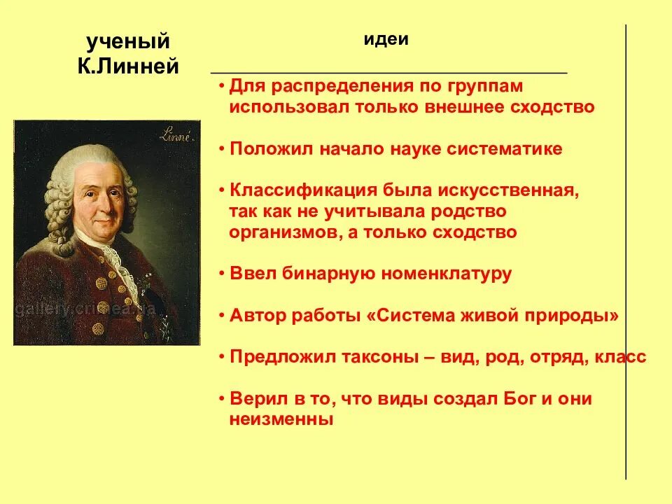 Линней является автором первого эволюционного учения. Эволюция линней карл линней. линней воззрения на эволюцию. эволюционные идеи линнея. карл линней эволюционные идеи.