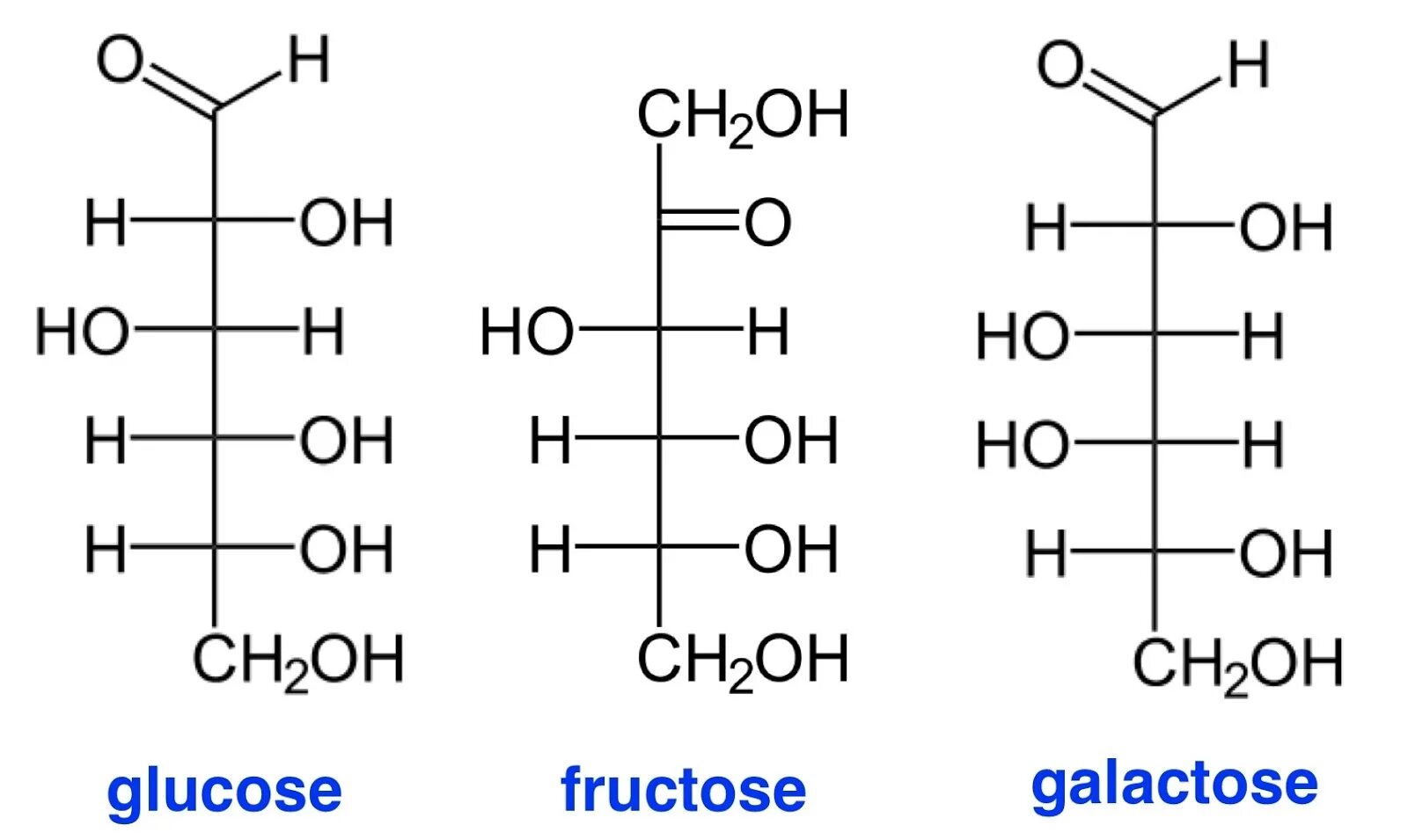 Гидролизу подвергается глюкоза рибоза фруктоза. Сорбитол химическая формула. Галактоза линейная формула. Строение галактозы формула. Сорбитол формула структурная.