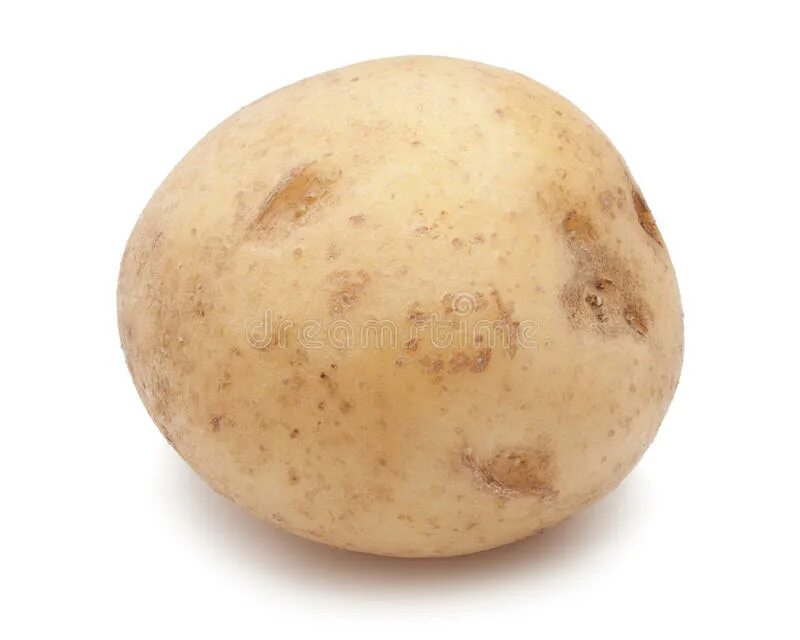 Картофель округлой формы. Круглая картошка. Круглый картофель на белом фоне. Картофель одна штука. Картошка белая круглая.