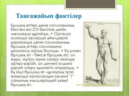 Жалаңаш Маша Кравченконың суреті