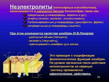 За что отвечает водно жировая