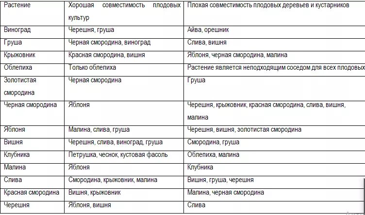 Какие деревья сажают друг с другом. Таблица соседства плодовых деревьев. Совместимость при посадке плодовых деревьев и ягодных кустарников. Соседство плодовых деревьев и кустарников таблица. Таблица совместимости плодовых деревьев и кустарников.