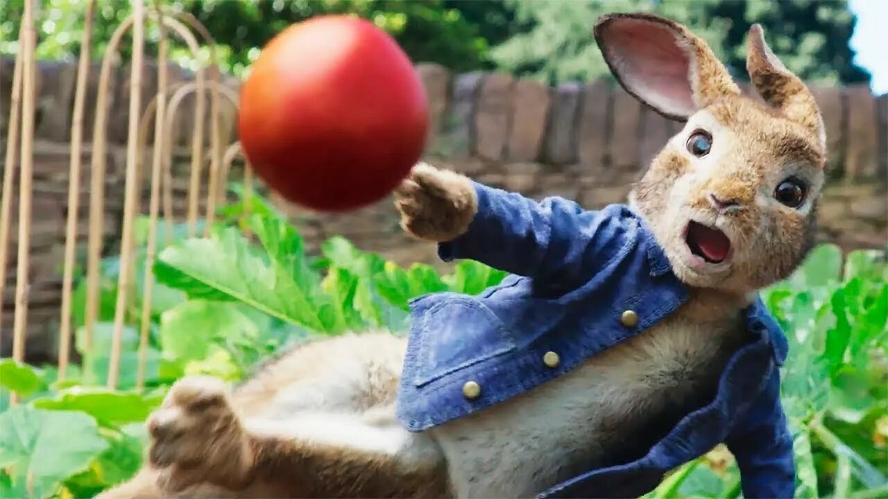 Rabbit movie. Peter Rabbit (2018). Peter Rabbit 2. Кролик Питер 1.