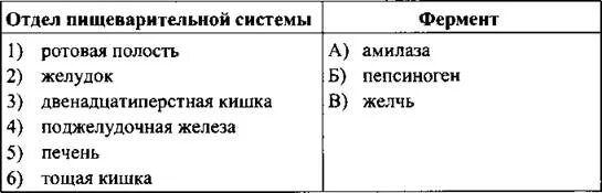 Примеры ферментов в пищеварительной системе Таблица Ферменты пищеварительных соков