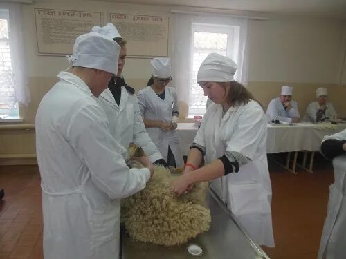 Агротехнологический колледж сайт. Новоузенский агротехнологический техникум. Дмитриевский агротехнологический колледж. Новоузенский агротехнологический техникум учителя. Ветеринарный техникум.