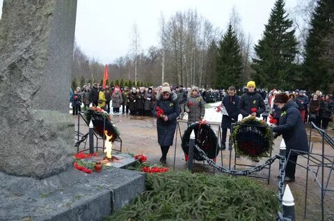 Пискаревка ковалева