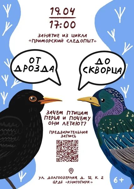 Чем отличается дрозд от скворца. Как отличить скворца от дрозда. Отличить скворца от дрозда. Скворец и Дрозд как отличить.