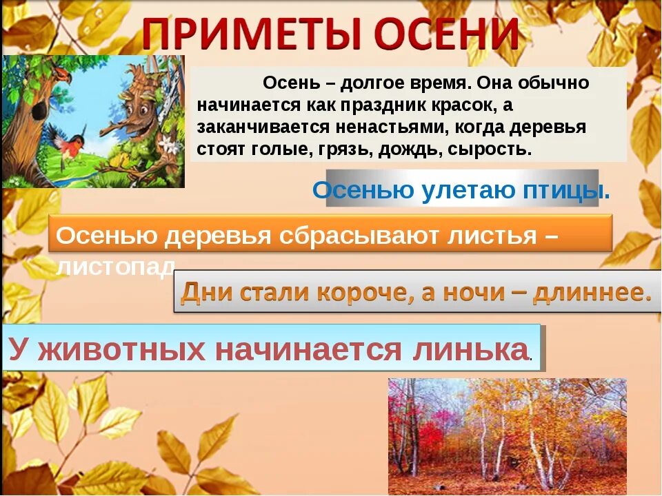 Осенние разбор. Приметы осени для дошкольников. Осенний календарь природы. Приметы осени в природе для детей. Осенние приметы о природе.