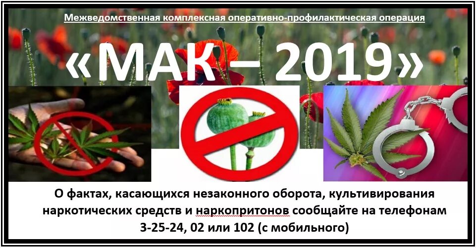 Оперативно профилактической операции мак. Операция мак листовки. памятка операция мак. операция мак картинки.
