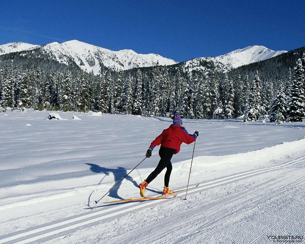 Катание на лыжах. Езда на лыжах. Зимние лыжи. Покататься на лыжах.