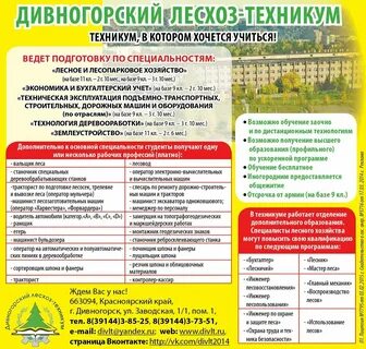Колледжи дивногорска после 9 класса