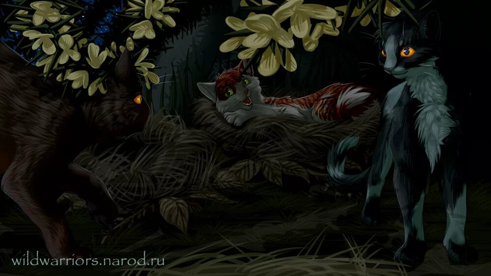 Коты воители землерой. Коты воители бродяги арт. Коты воители огнезвёзд и белохвост. Коты воители 7 аудиокнига. Коты воители книги 3 цикл.