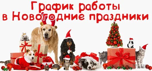 Режим работы животных. Режим работы животных. Реклама магазина для животных. Вывеска на дверь салона. Режим работы табличка образец.