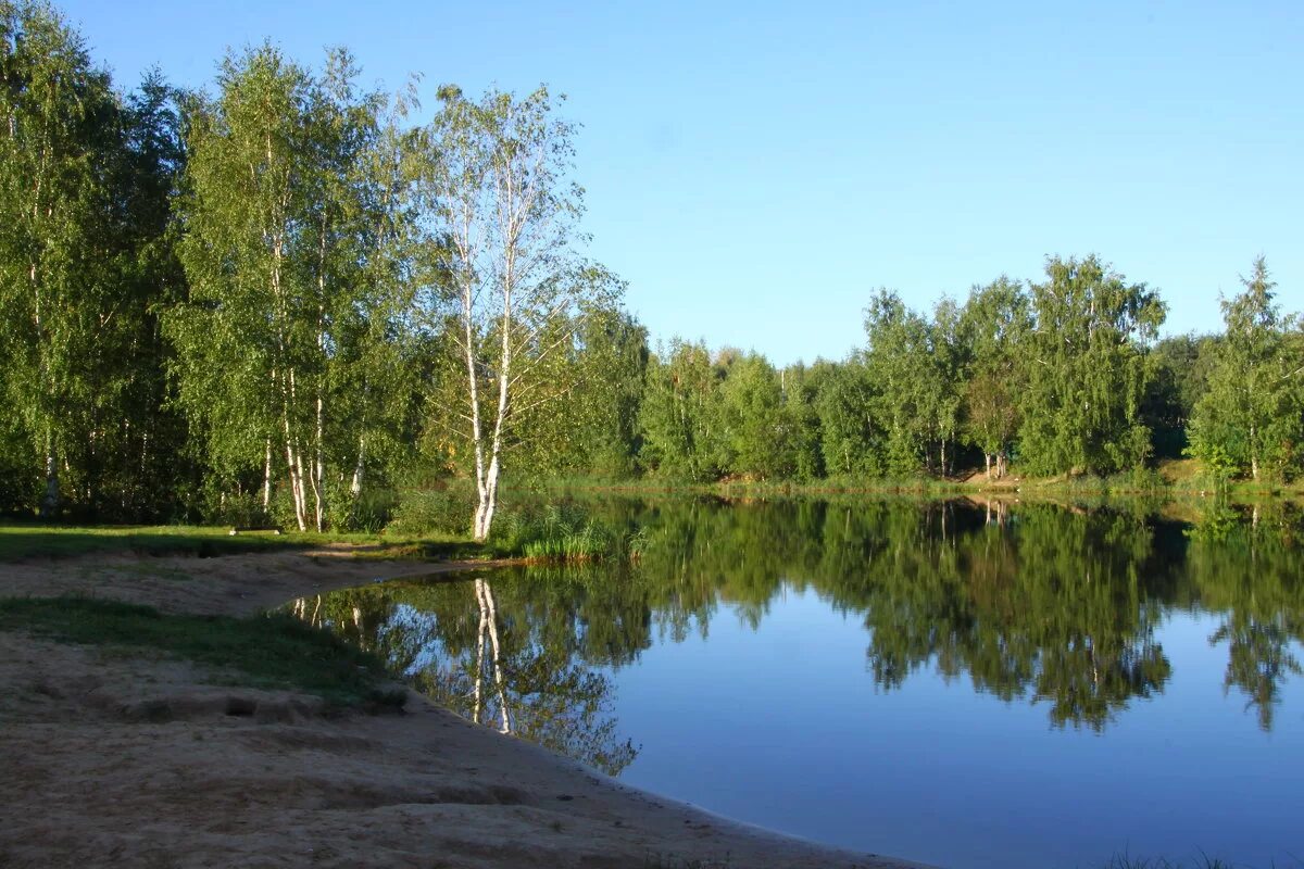 Сормовский парк озеро. Сормовский парк нижний новгород. сормовский парк сосны озеро. сормовское озеро нижний новгород сормовский парк. сормовский парк ворота.