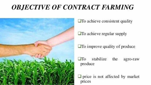 Контракт фарминг. Publics contract with farmers]. Контракт фарминг. Контракт фарминг. Contract with farmers].