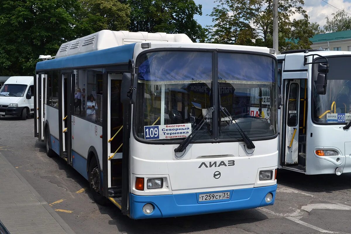 Автобус 111у белгород. Нефаз 5299 белгород. Синий лиаз белгород. 111у маршрут белгород. 36 курская область железногорск.
