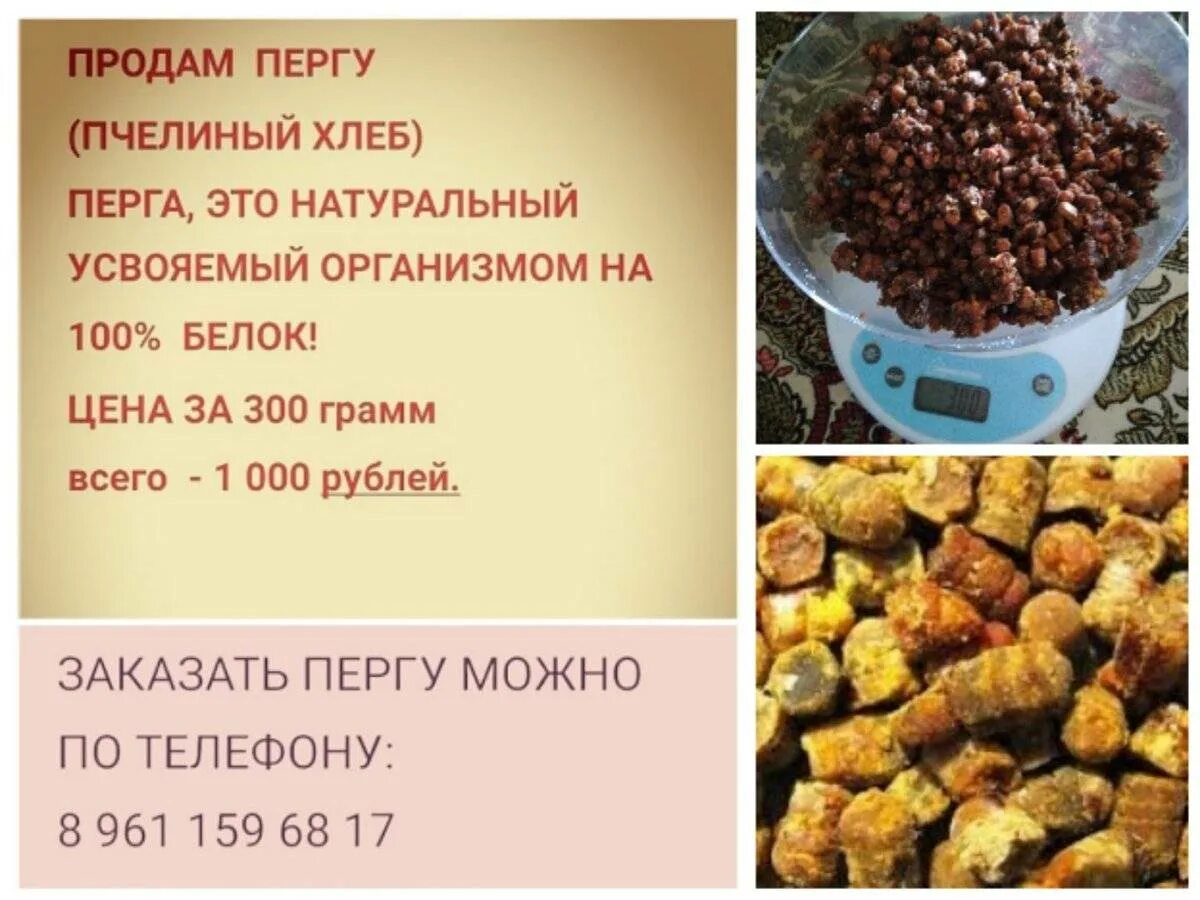 Перга. Перга пчелиная. Пчелиные продукты перга. Перга чем полезна для организма. Пчелиная перга для женщин