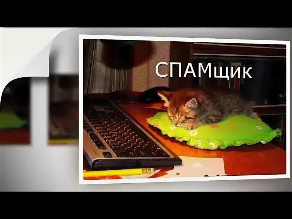 Видео что же там. Ярик лапа фото. Видео что же там. Видео что же там. Ярик лапа фото.