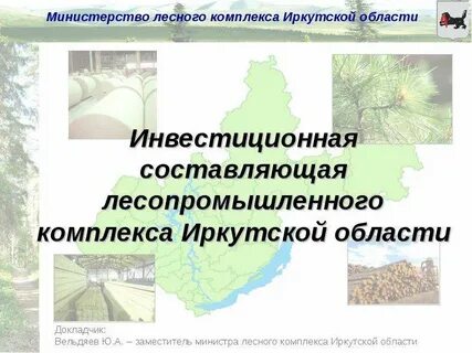 Иркутский лесной комплекс