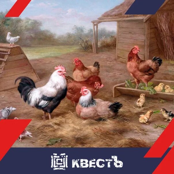 Мыслитель с птичьего двора. Обитатели птичьего двора. картина на птичьем дворе для детей.