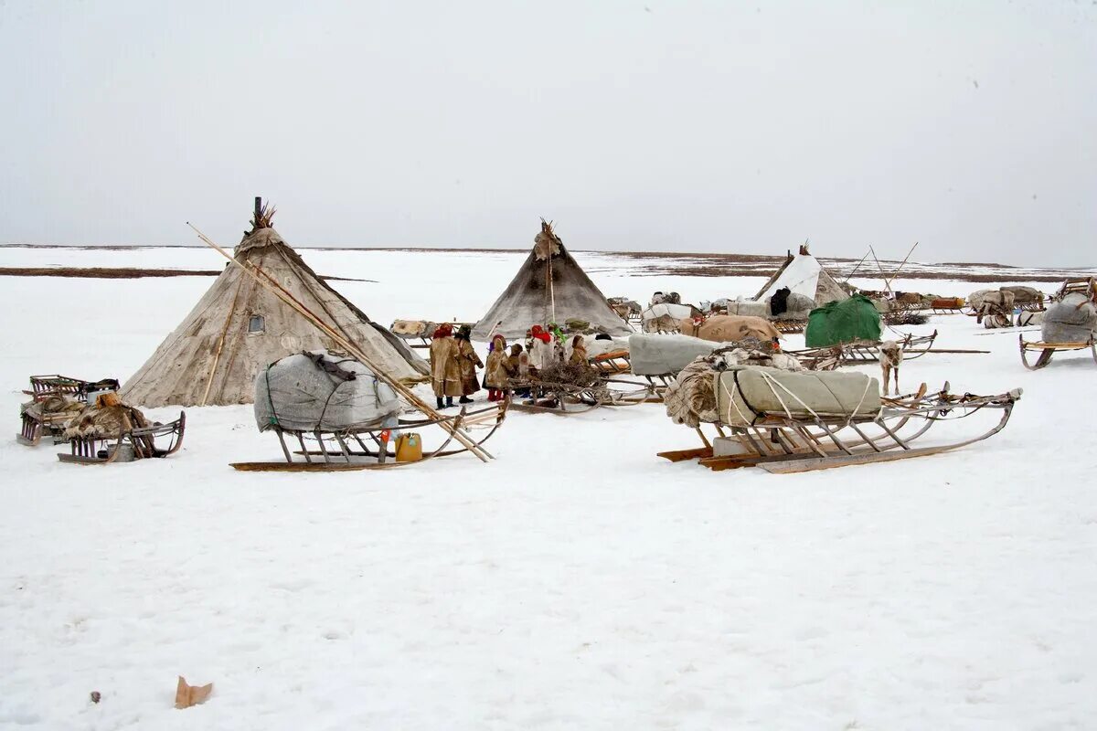 Этно-парк «кочевник» в хотьково. Деревня кочевников. Деревня кочевников. Город кочевников крепость номад. Деревня кочевников.