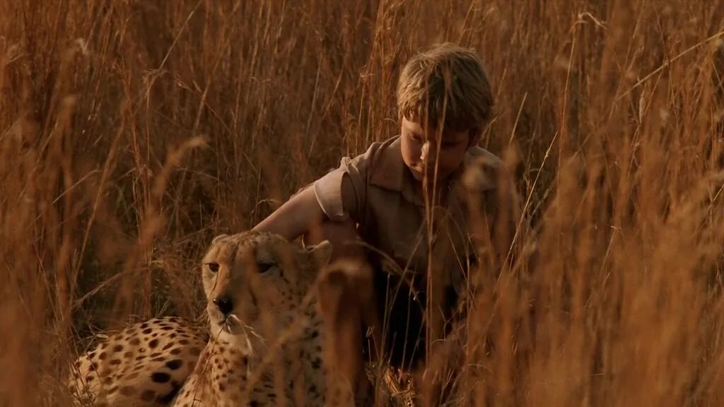 Мысли о свободе фильм 2005. Фильм про гепарда и мальчика. Мысли о свободе фильм на реальных событиях ?. Фильм duma. Duma 2005.