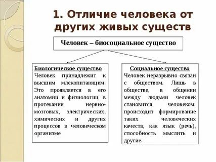 Называть человека тварью