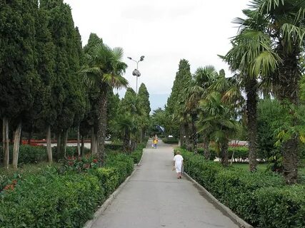 Приморский парк имени гагарина