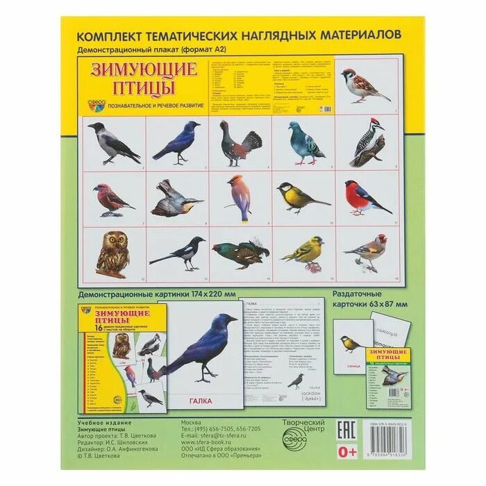 Ктп зимующие птицы. Птицы наглядное пособие. плакат. зимующие птицы.. плакат птицы для детей. демонстрационный материал птицы.