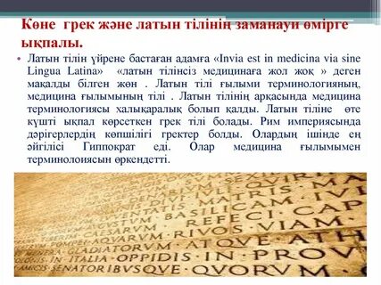 Житомир жыныстық қатынасқа түсуші әйел