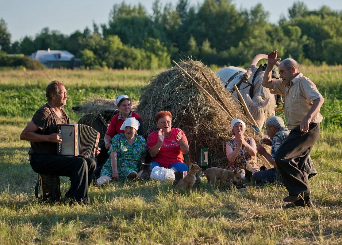 Баба на сенокосе. Луговой покос тихий Дон. Сенокос в деревне. Деревенские люди. Лето в деревне сенокос.