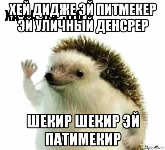 Эй ха. Эй ха. Эй ха. Говорящий апельсин. Эй ха.