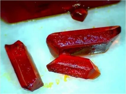 Красная кровяная