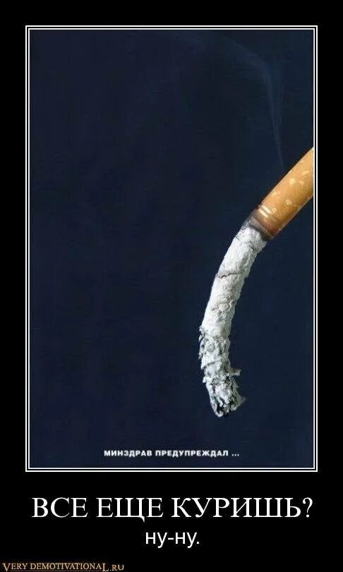 Сигареты шутка. Шутки про сигареты. Сигара юмор. Сигареты демотиваторы. Приколы про курящих.
