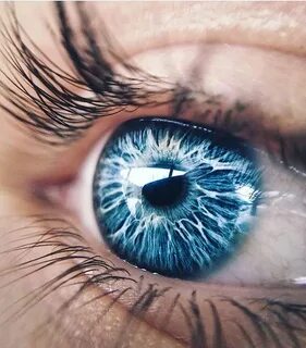 Picture blue eyes