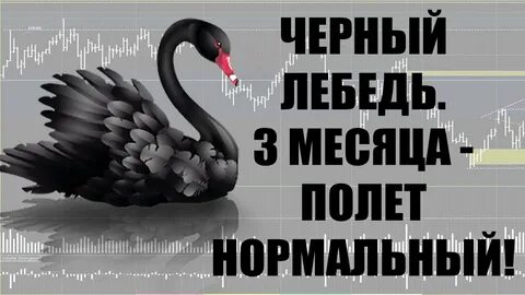 Черный лебедь событие