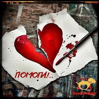 Продолжаем кричать