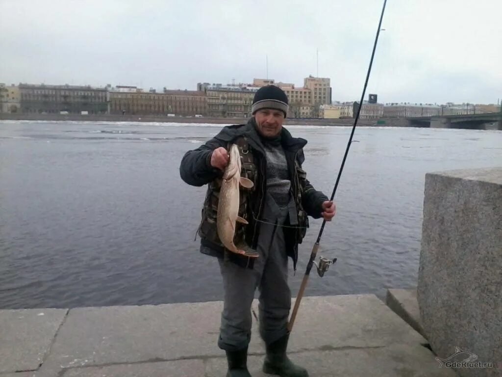 Ловли санкт петербург. Рыбалка в Санкт-Петербурге на Неве. Рыба в Неве.