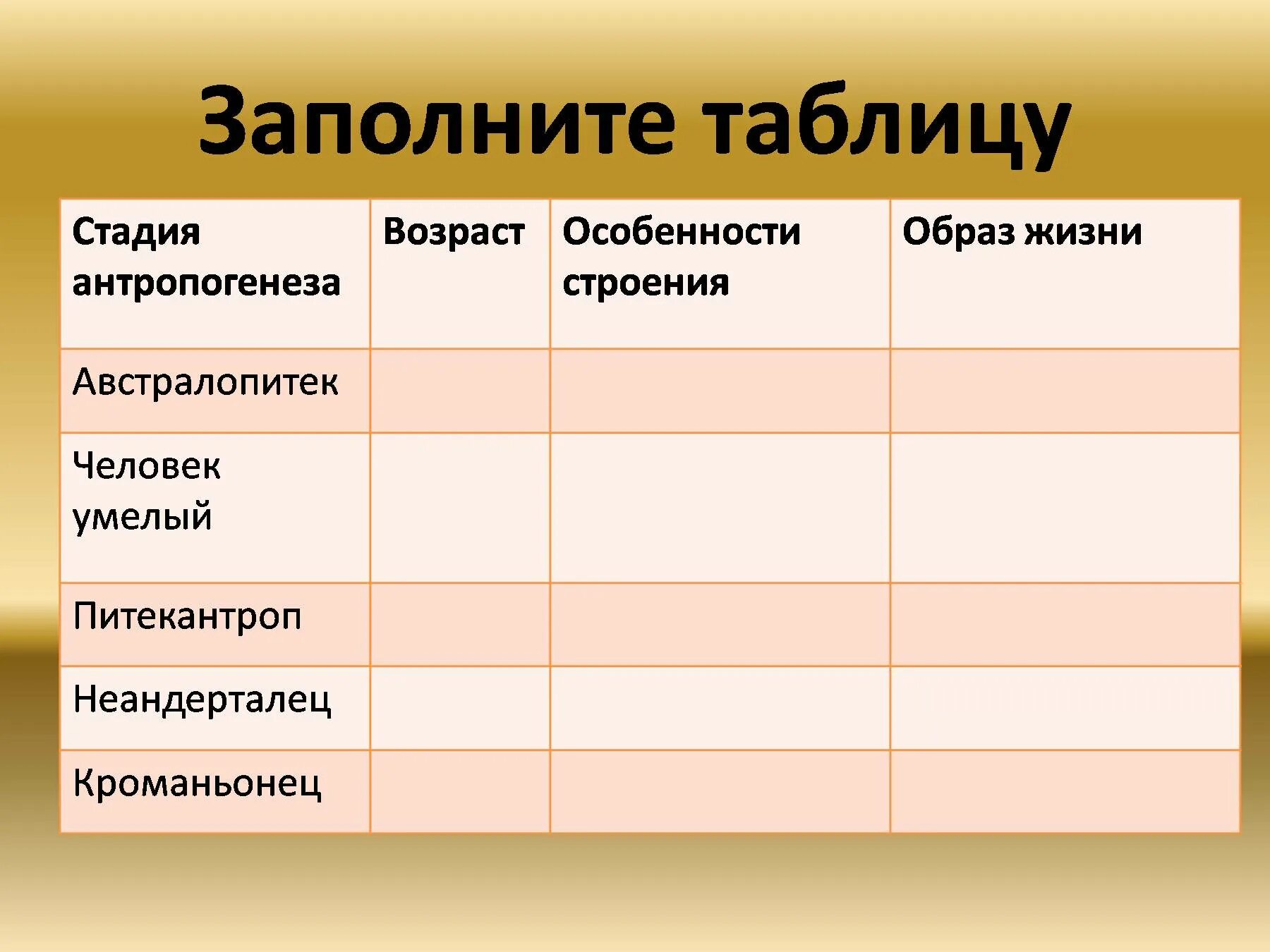 Таблица развитие человека. Стадии эволюции человека таблица 5 класс. Таблица основные этапы антропогенеза таблица 11 класс. Этапы развития человека таблица. Стадии развития антропогенеза таблица.