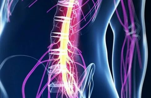 Признаки давнего тяжелого неврологического заболевания спинного мозга