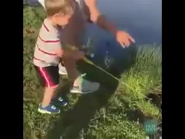 Поймала ребенка видео