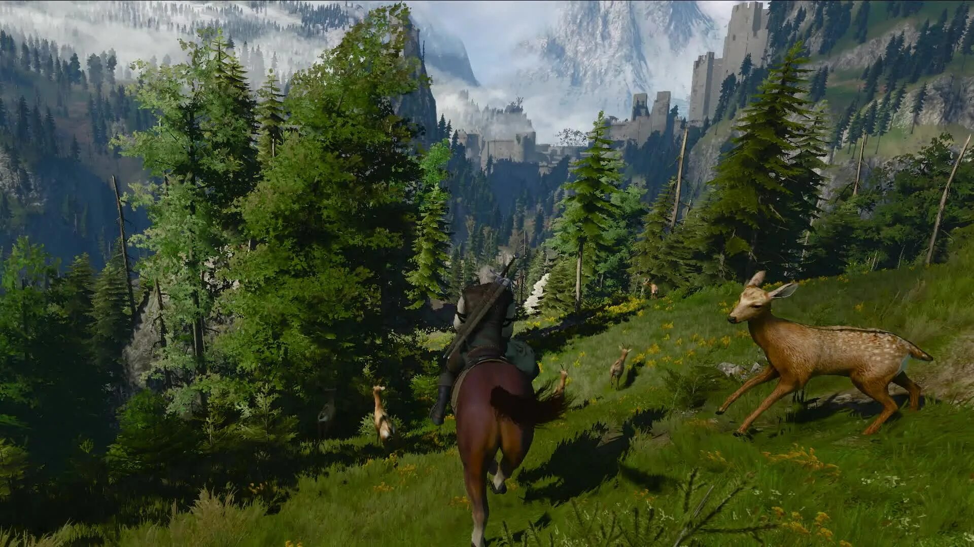 Hunt is coming