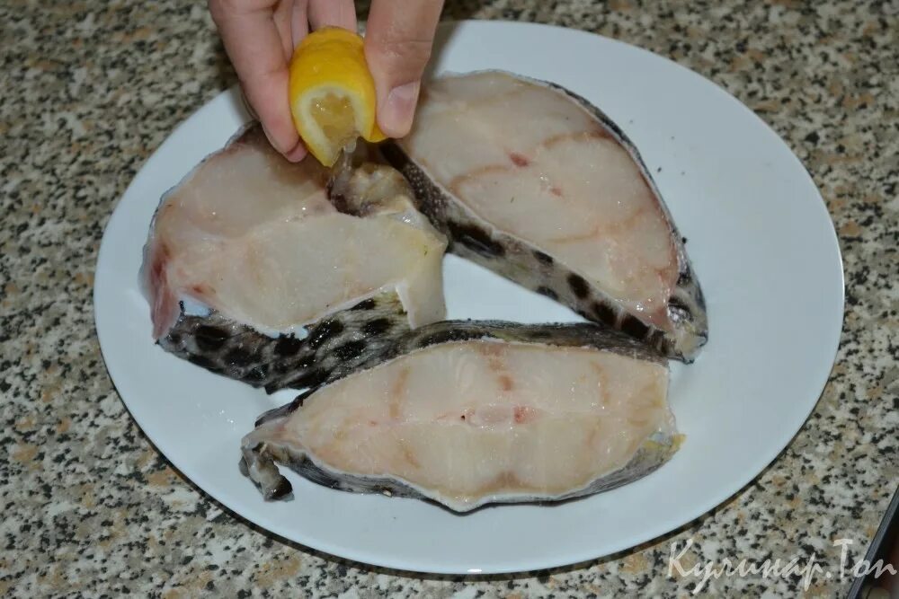 зубатка рыба стейк. какая зубатка вкуснее. какая зубатка вкуснее. рыба зубатка синяя. зубатка рыба жареная.