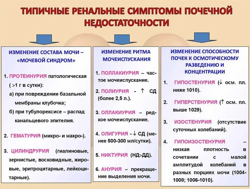 Как выявить почечную недостаточность. Основные клинические проявления почечной недостаточности:. хроническая почечная недостаточность симптомы. прчечная недостаточностьсимптомы. симптомы почечной недостаточност.