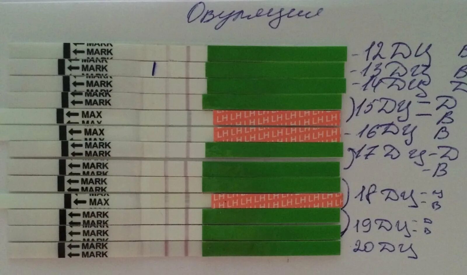 Овуляция есть а месячных нет