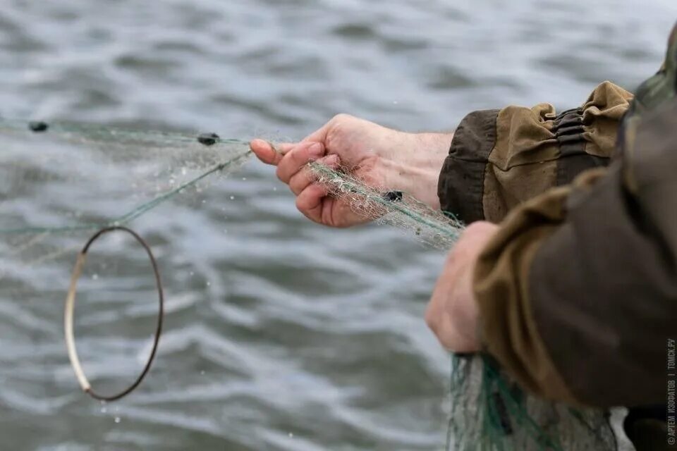 Ловля рыбы. Ловить рыбу. Ловля рыбы запрещена. Англии запретили ловить рыбу