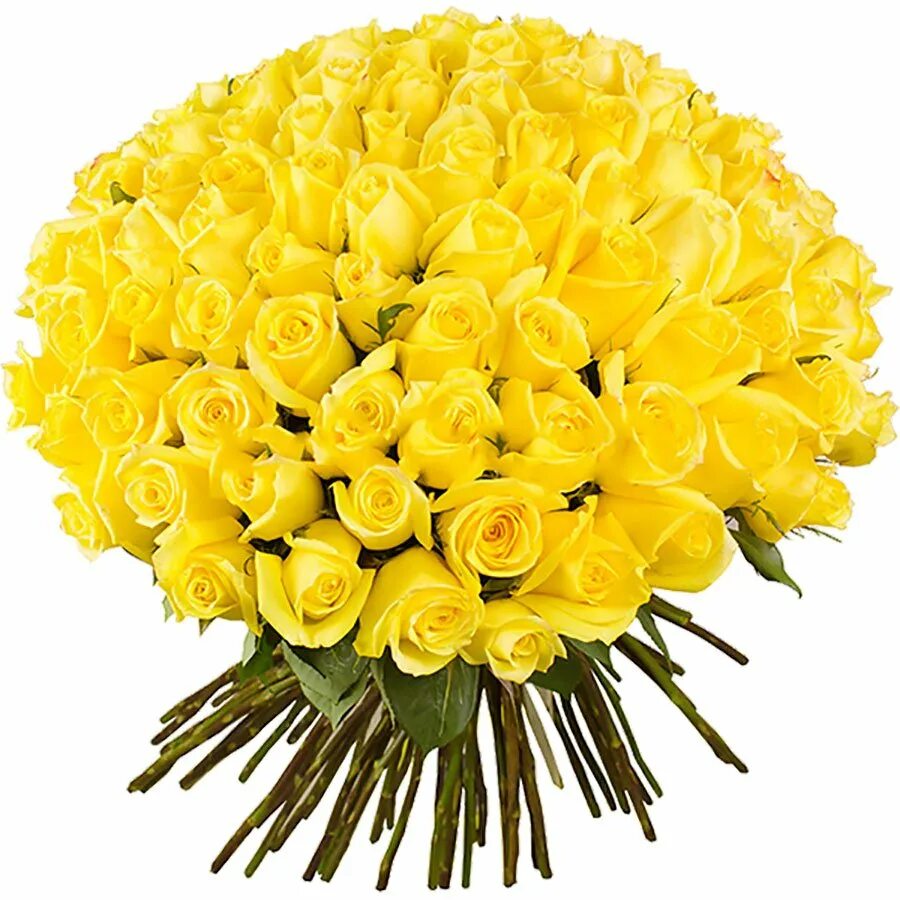 Огромные желтые букеты. Букет из эквадорских желтых роз. Красивый букет из желтых роз.