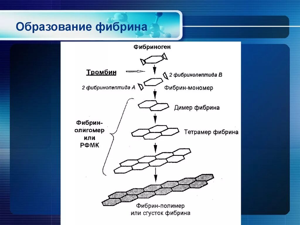 Образование тромба из фибрина